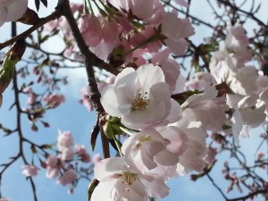 20140329_110146