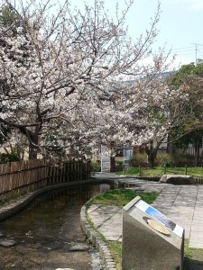 20140329_110418