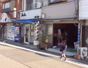 12109100_916321135126561_1144221391996664151_n